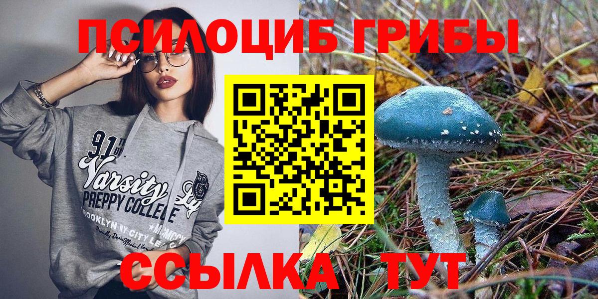 Чехов  Галлюциногенные грибы мухоморы  Вход с VPN 